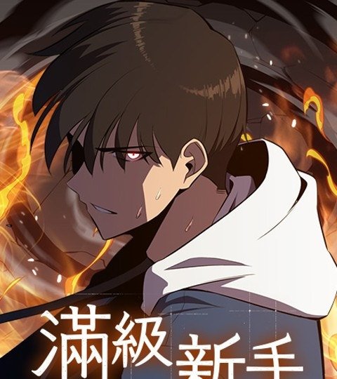 滿級新手封面